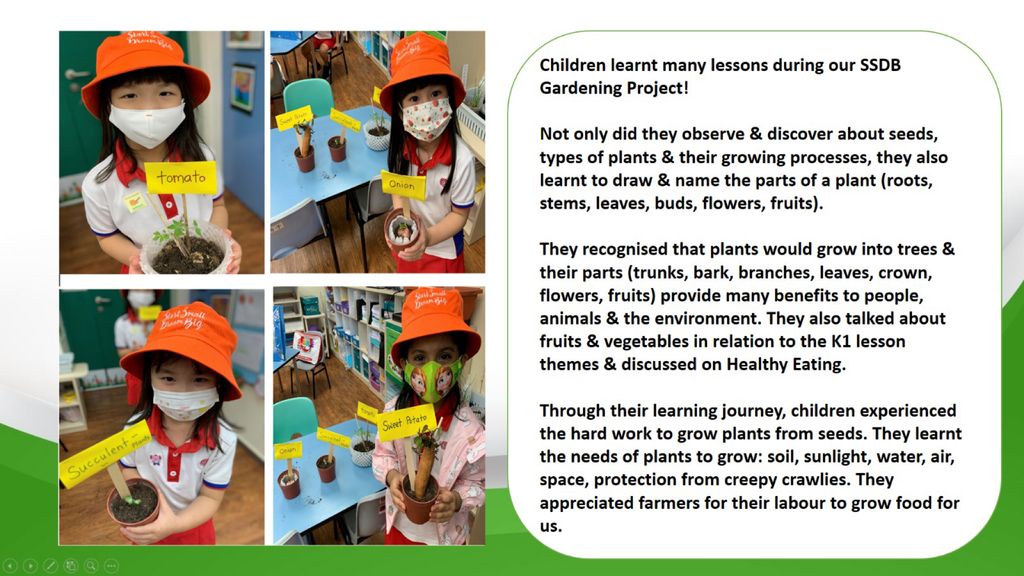 Phase 3: Our Garden Project- A sustainable one! — photo 14