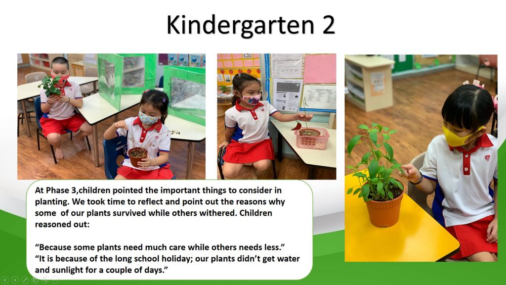 Phase 3: Our Garden Project- A sustainable one! — photo 1