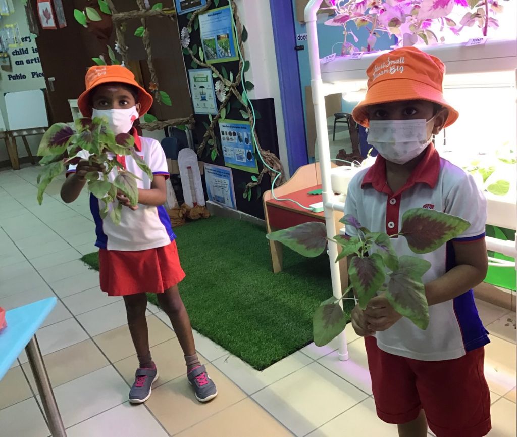 Healthy-Living With Our Green Produce