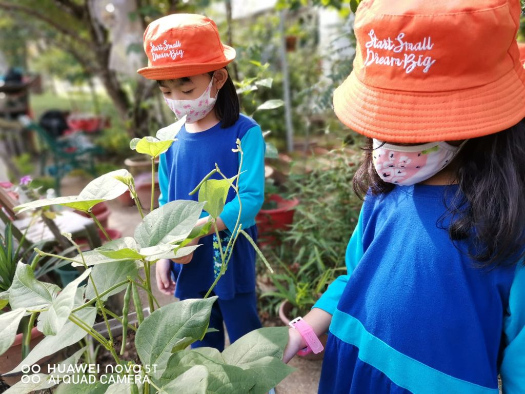 Week 11: ‘Nature and Me!’ – Little Gardeners Can Be Little Authors Too! (continuation) — photo 6