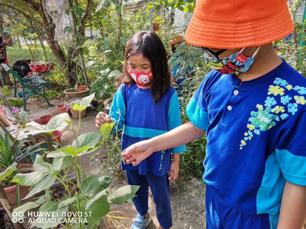 Week 11: ‘Nature and Me!’ – Little Gardeners Can Be Little Authors Too! (continuation) — photo 7