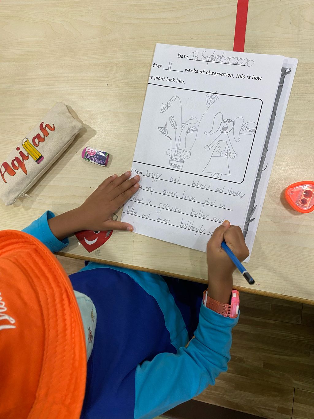 Week 11: ‘Nature and Me!’ – Little Gardeners Can Be Little Authors Too! (continuation) — photo 1