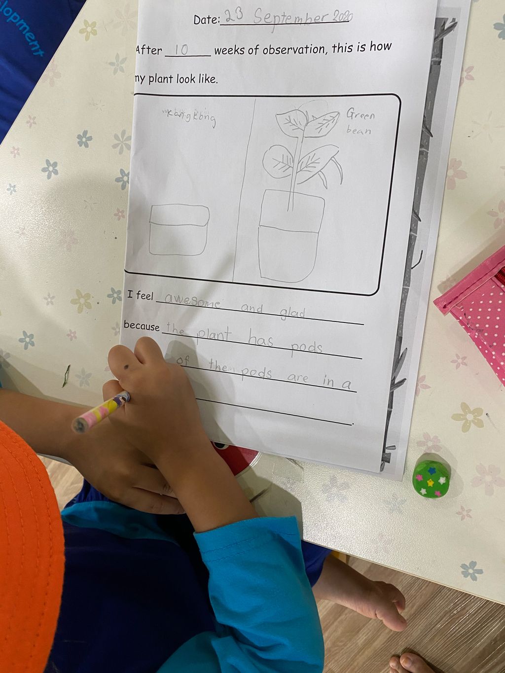 Week 11: ‘Nature and Me!’ – Little Gardeners Can Be Little Authors Too! (continuation) — photo 2