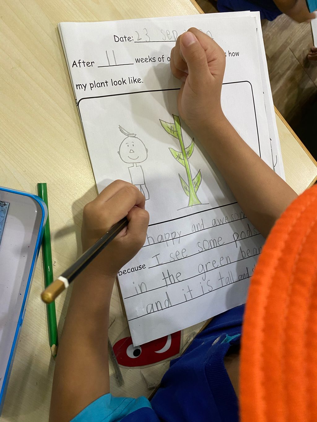 Week 11: ‘Nature and Me!’ – Little Gardeners Can Be Little Authors Too! (continuation) — photo 3