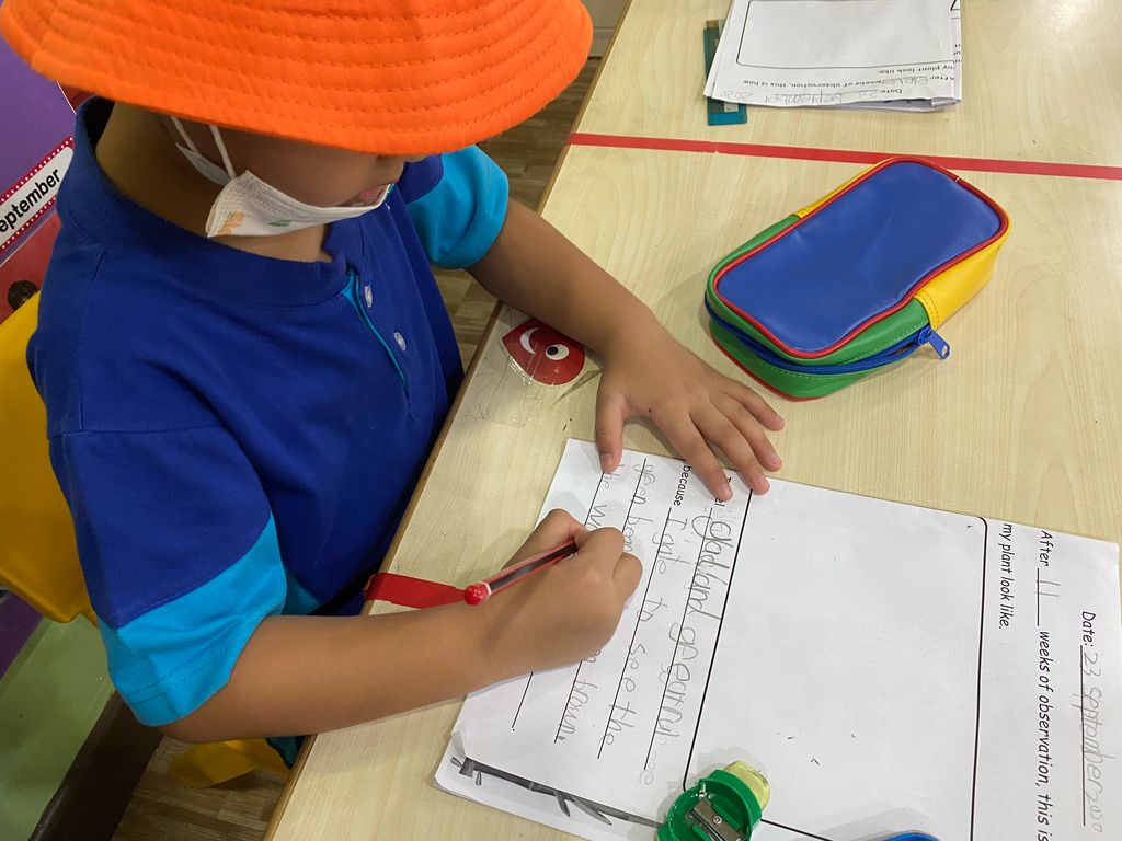 Week 11: ‘Nature and Me!’ – Little Gardeners Can Be Little Authors Too! (continuation) — photo 4