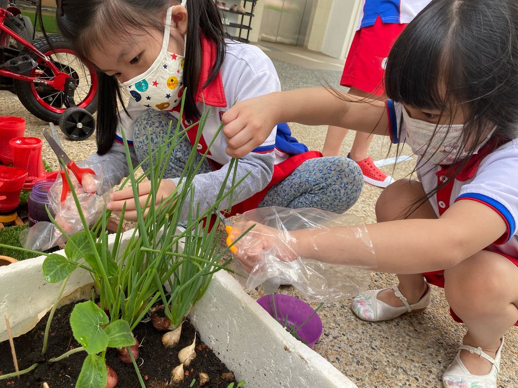 Cycle of Life 🌱 — photo 3