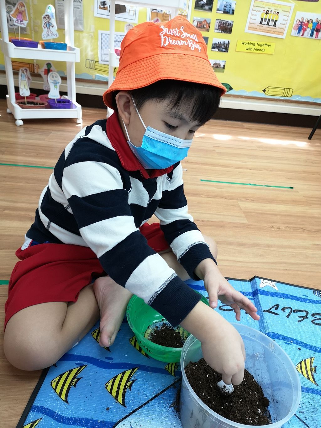 We Are Little Gardeners - SSDB'2020 — photo 2