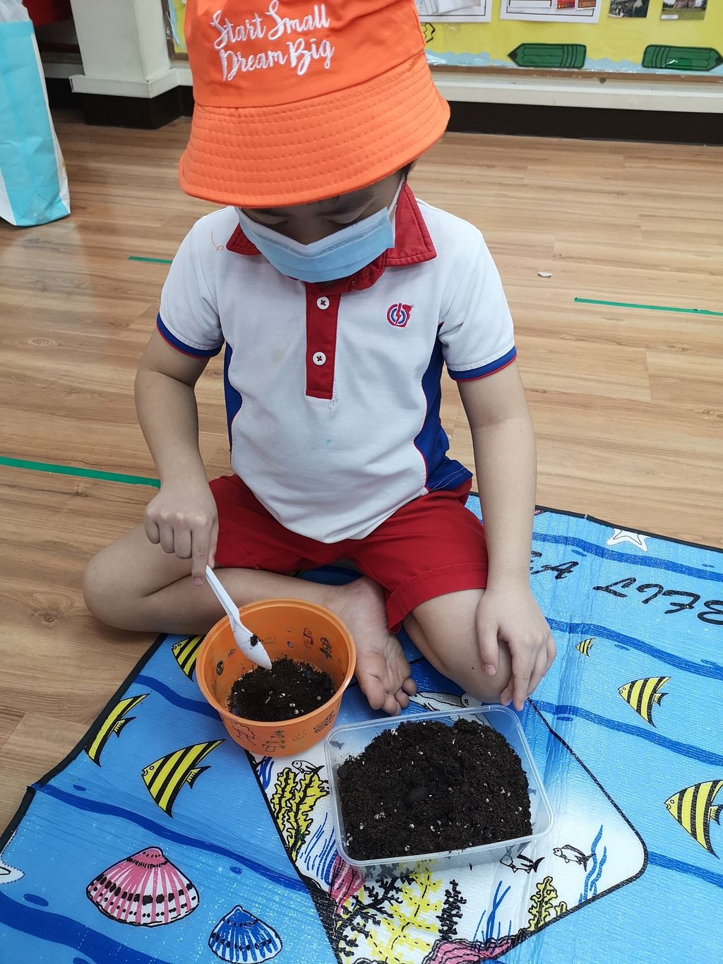 We Are Little Gardeners - SSDB'2020 — photo 3
