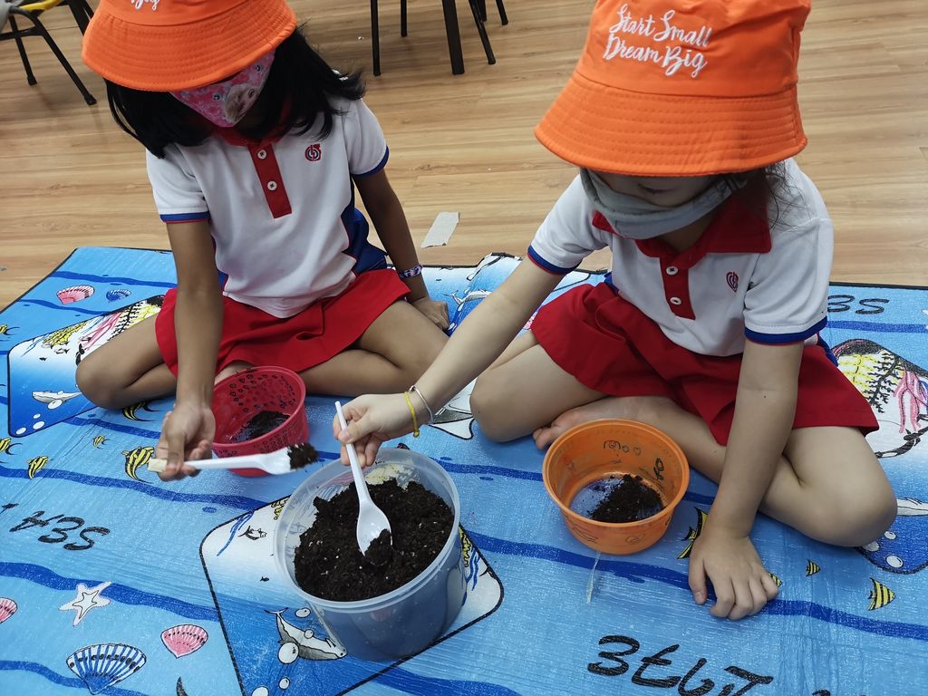 We Are Little Gardeners - SSDB'2020 — photo 5