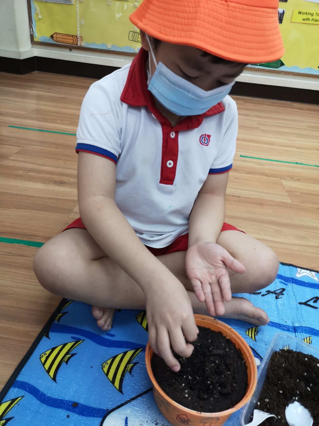 We Are Little Gardeners - SSDB'2020 — photo 1