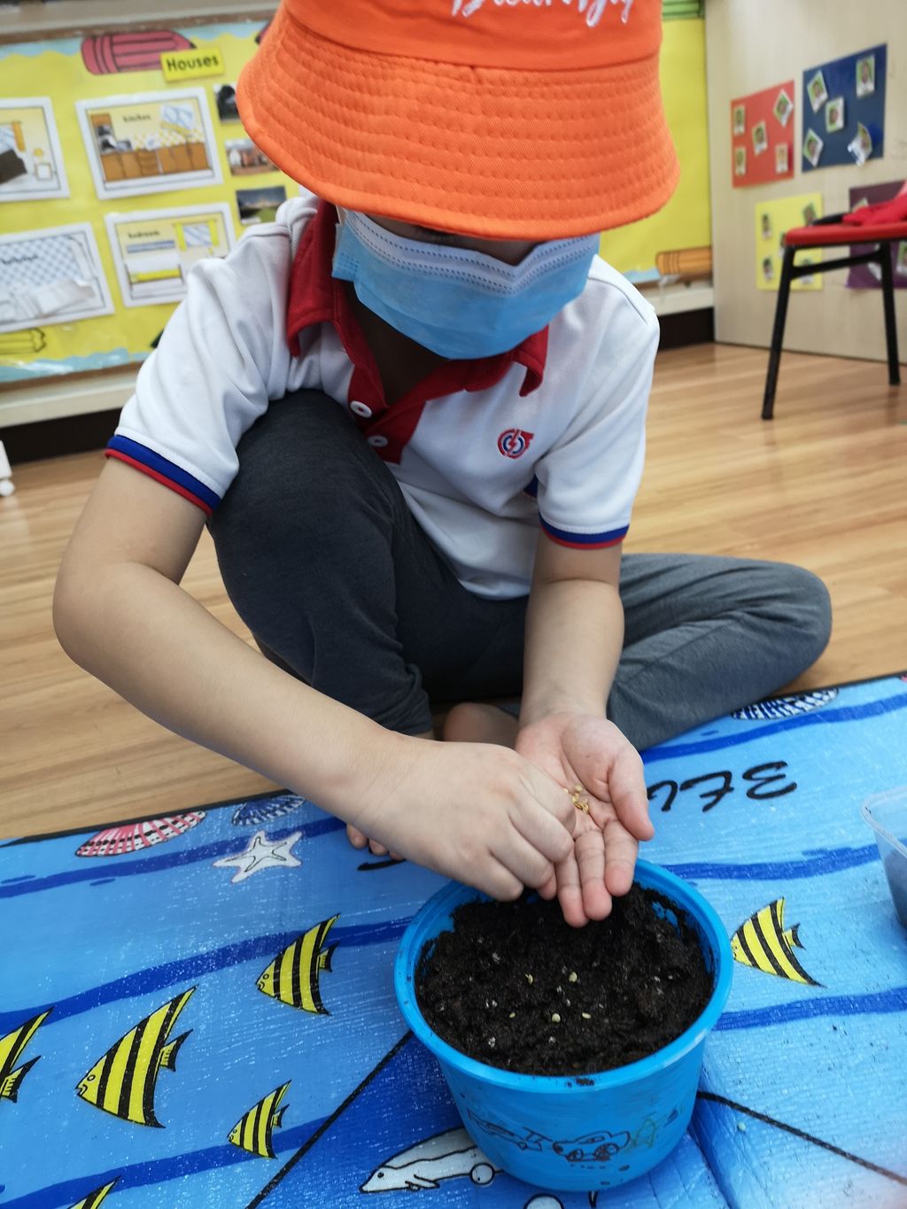 We Are Little Gardeners - SSDB'2020 — photo 2