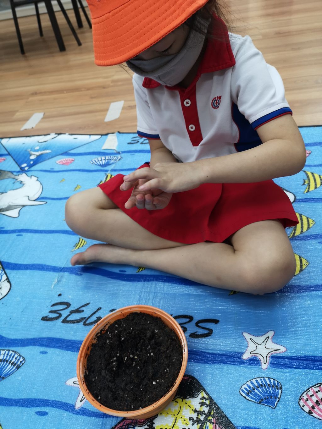 We Are Little Gardeners - SSDB'2020 — photo 3