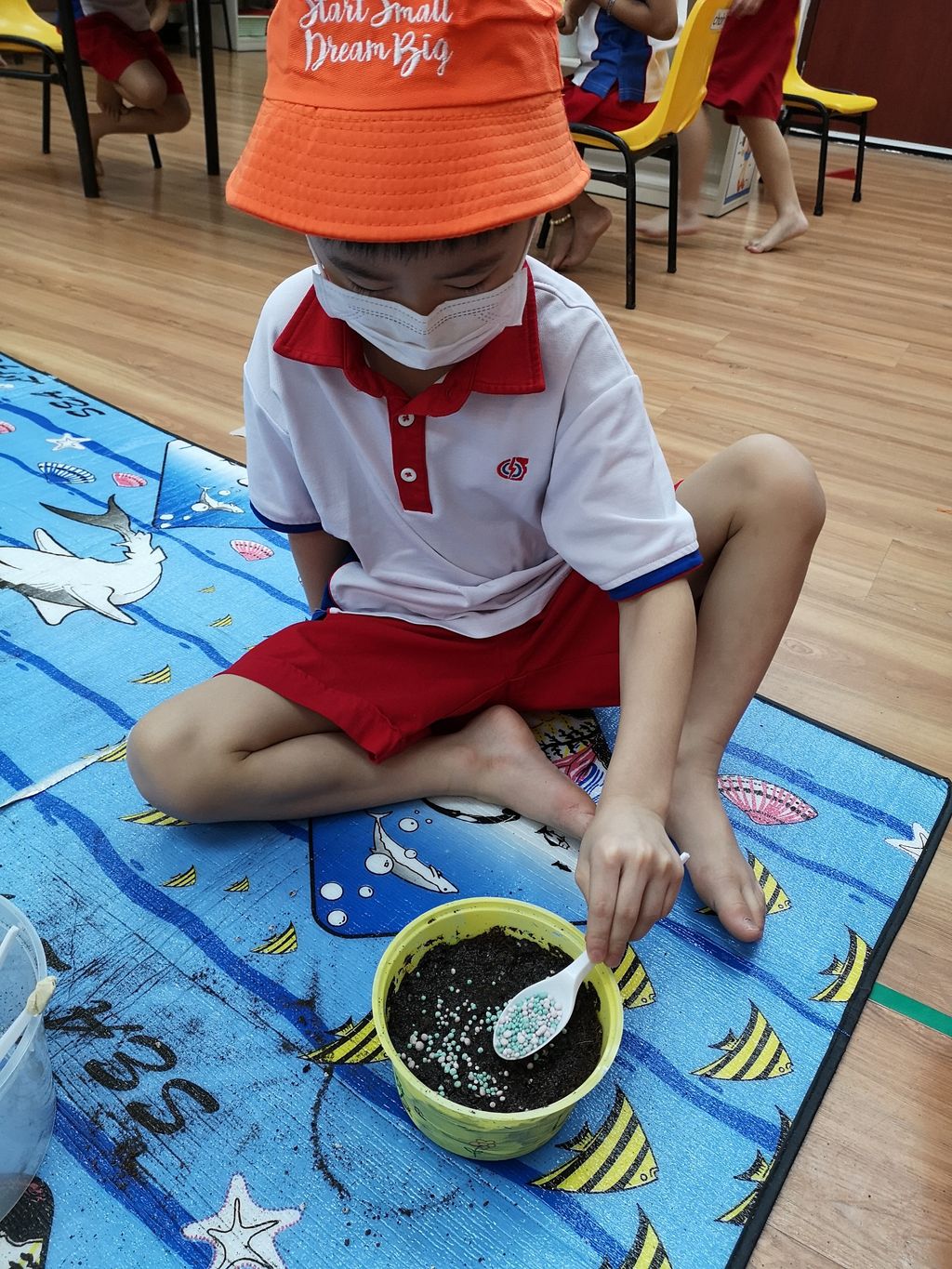 We Are Little Gardeners - SSDB'2020 — photo 2