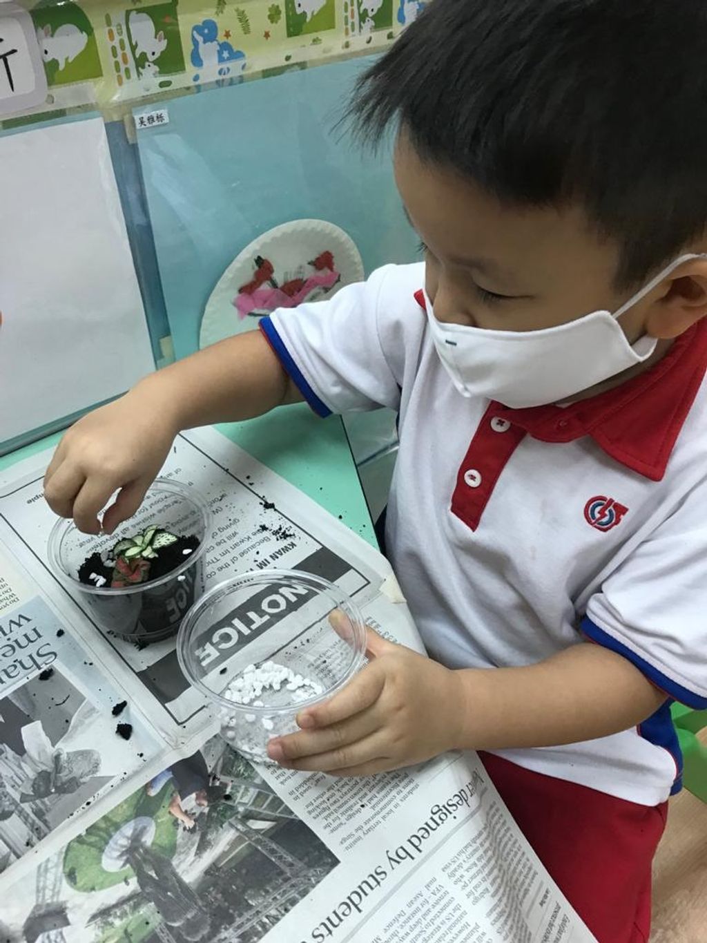 We Are Little Gardeners - SSDB'2020 — photo 3