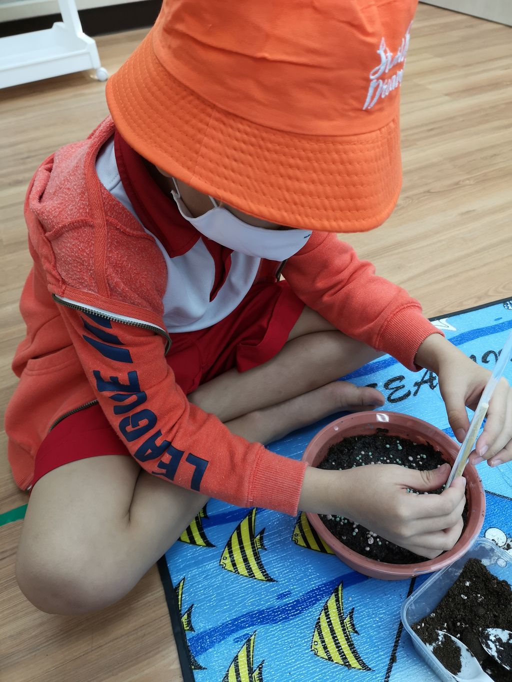 We Are Little Gardeners - SSDB'2020 — photo 1
