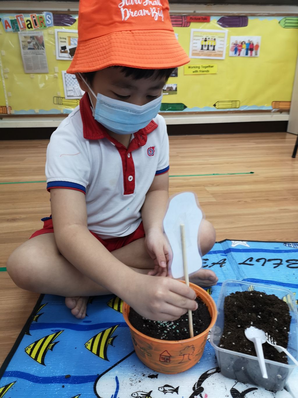 We Are Little Gardeners - SSDB'2020 — photo 2