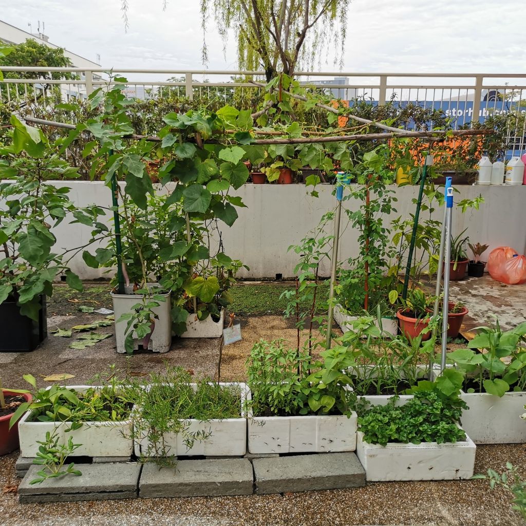 Intergenerational project: let's build a garden πΏπΈπΉ β photo 2