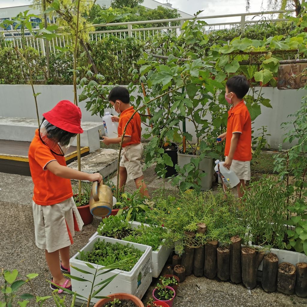 Intergenerational project: let's build a garden πΏπΈπΉ β photo 3