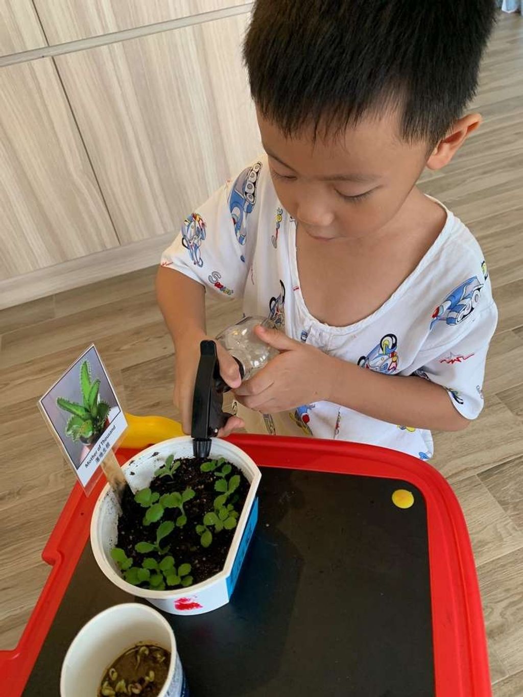 Intergenerational project: let's build a garden πΏπΈπΉ β photo 2