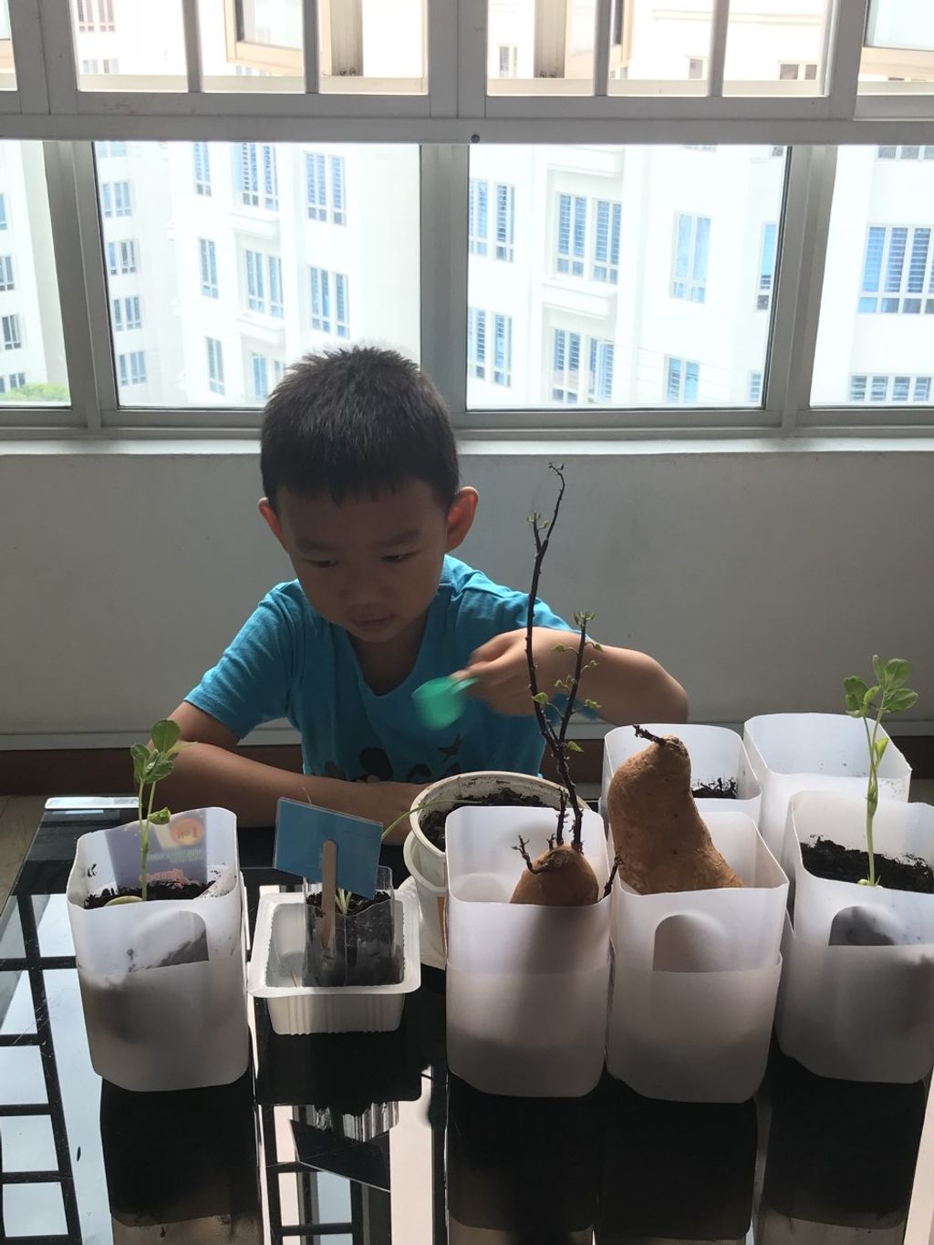 Intergenerational project: let's build a garden πΏπΈπΉ β photo 3