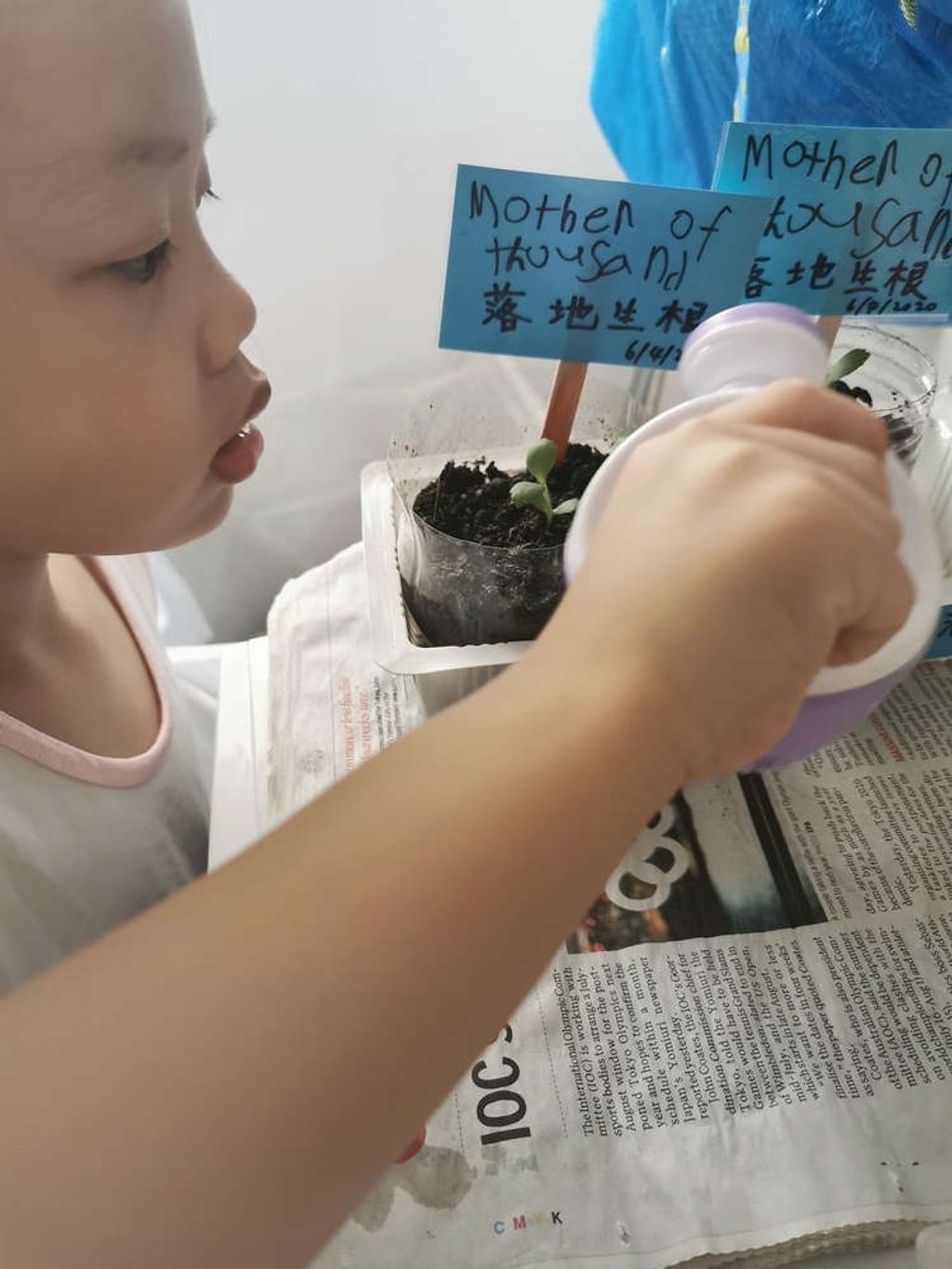 Intergenerational project: let's build a garden πΏπΈπΉ β photo 5