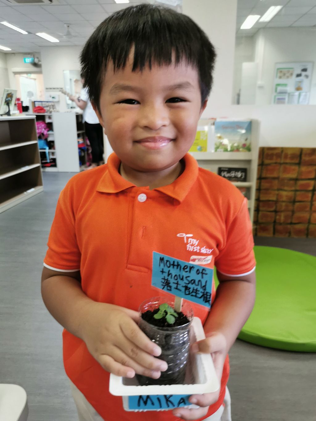 Intergenerational project: let's build a garden πΏπΈπΉ β photo 9