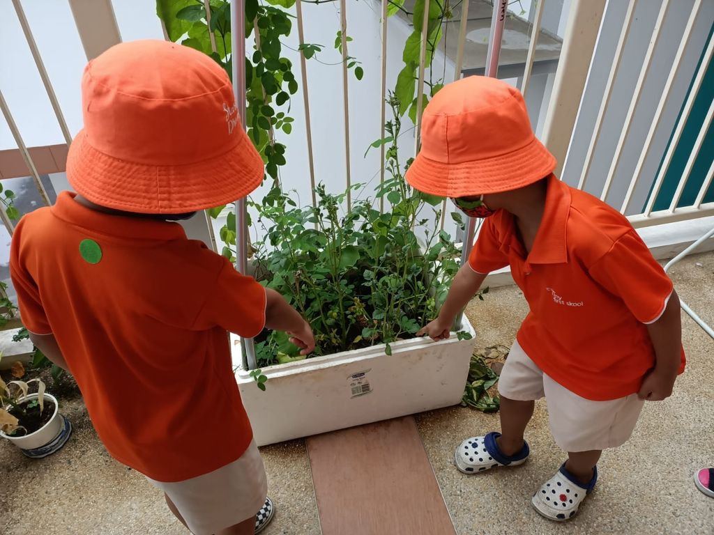 Intergenerational project: let's build a garden πΏπΈπΉ β photo 1