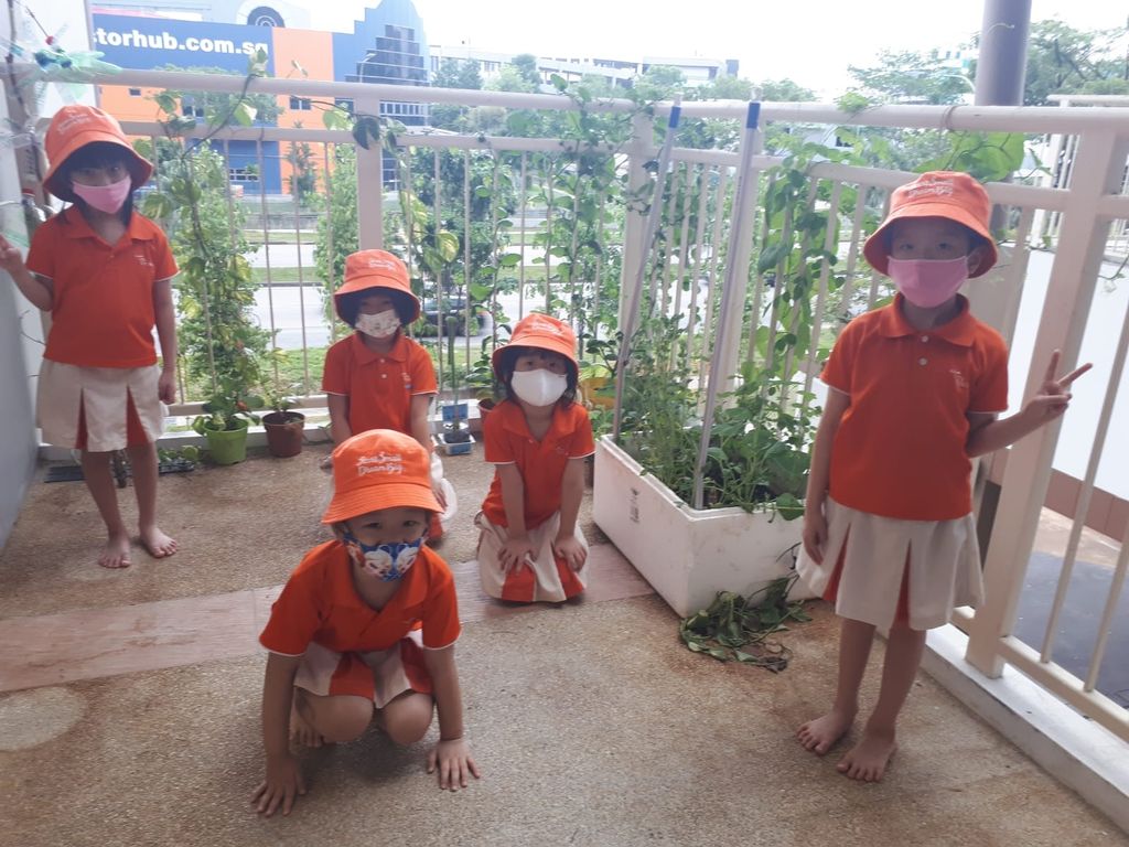 Intergenerational project: let's build a garden πΏπΈπΉ β photo 2