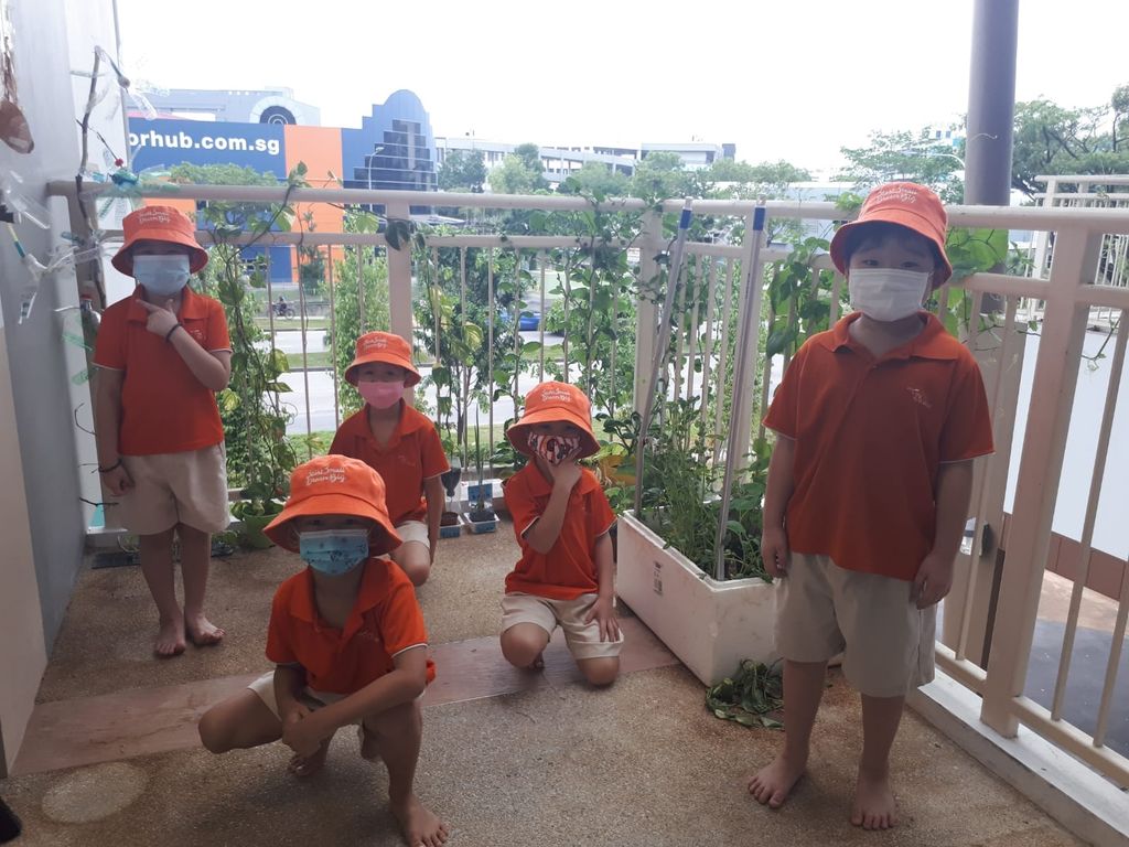 Intergenerational project: let's build a garden πΏπΈπΉ β photo 5