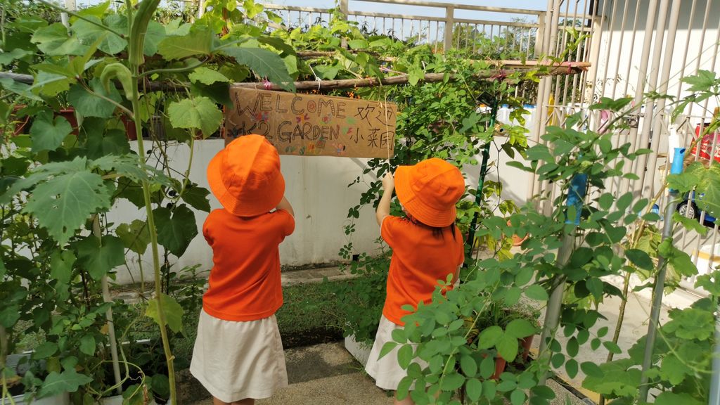 Intergenerational project: let's build a garden πΏπΈπΉ β photo 2