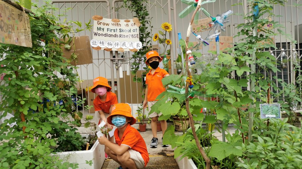 Intergenerational project: let's build a garden πΏπΈπΉ β photo 3