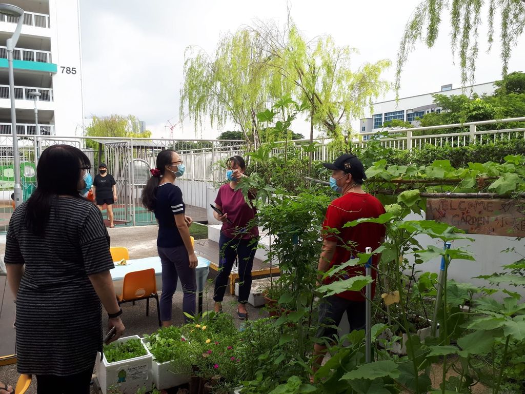 Intergenerational project: let's build a garden πΏπΈπΉ β photo 4