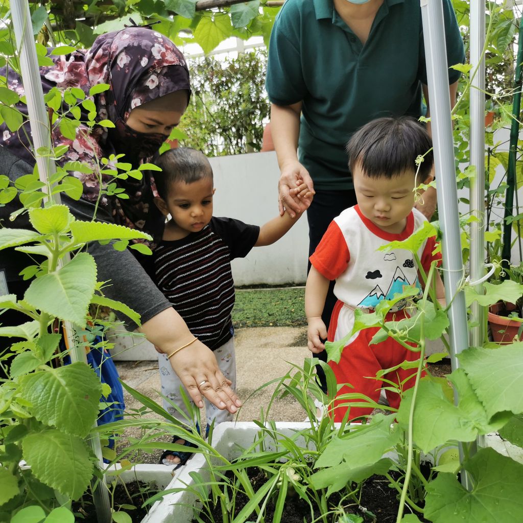 Intergenerational project: let's build a garden πΏπΈπΉ β photo 5
