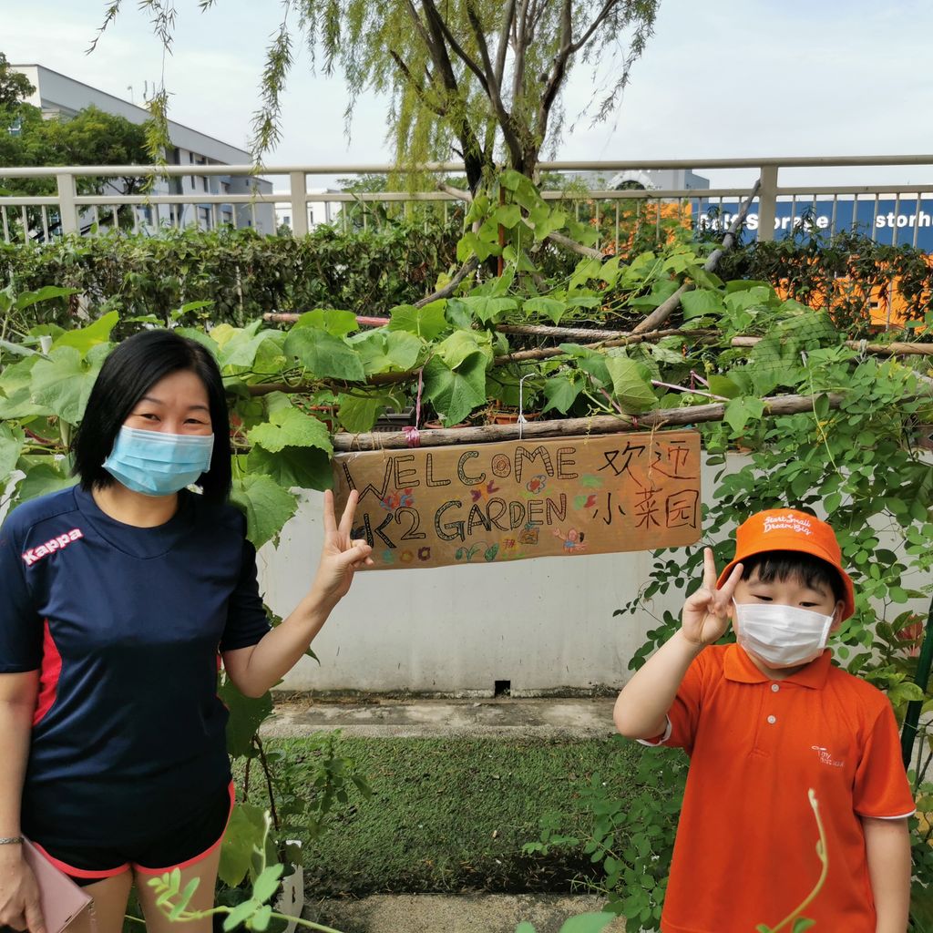 Intergenerational project: let's build a garden πΏπΈπΉ β photo 6