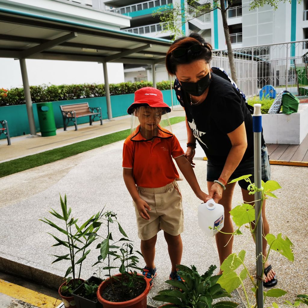 Intergenerational project: let's build a garden πΏπΈπΉ β photo 7