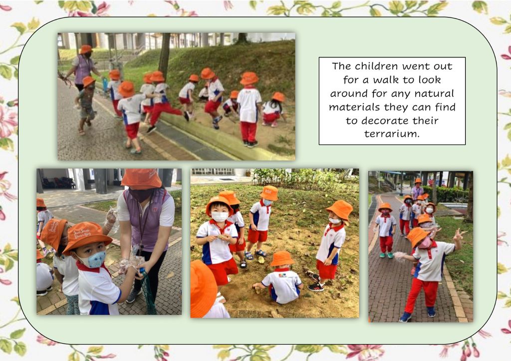 SSDB 2020: “ All Things Grow With Love And Care” — photo 4