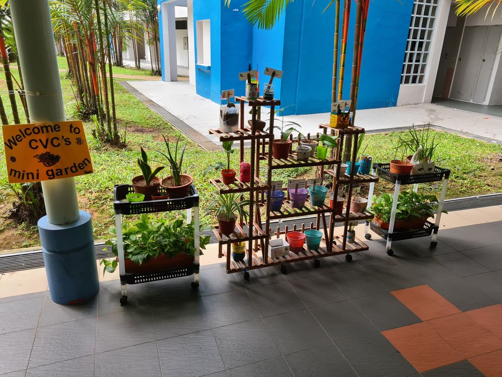 Creating a garden with flowerpots made from recyclables — photo 3