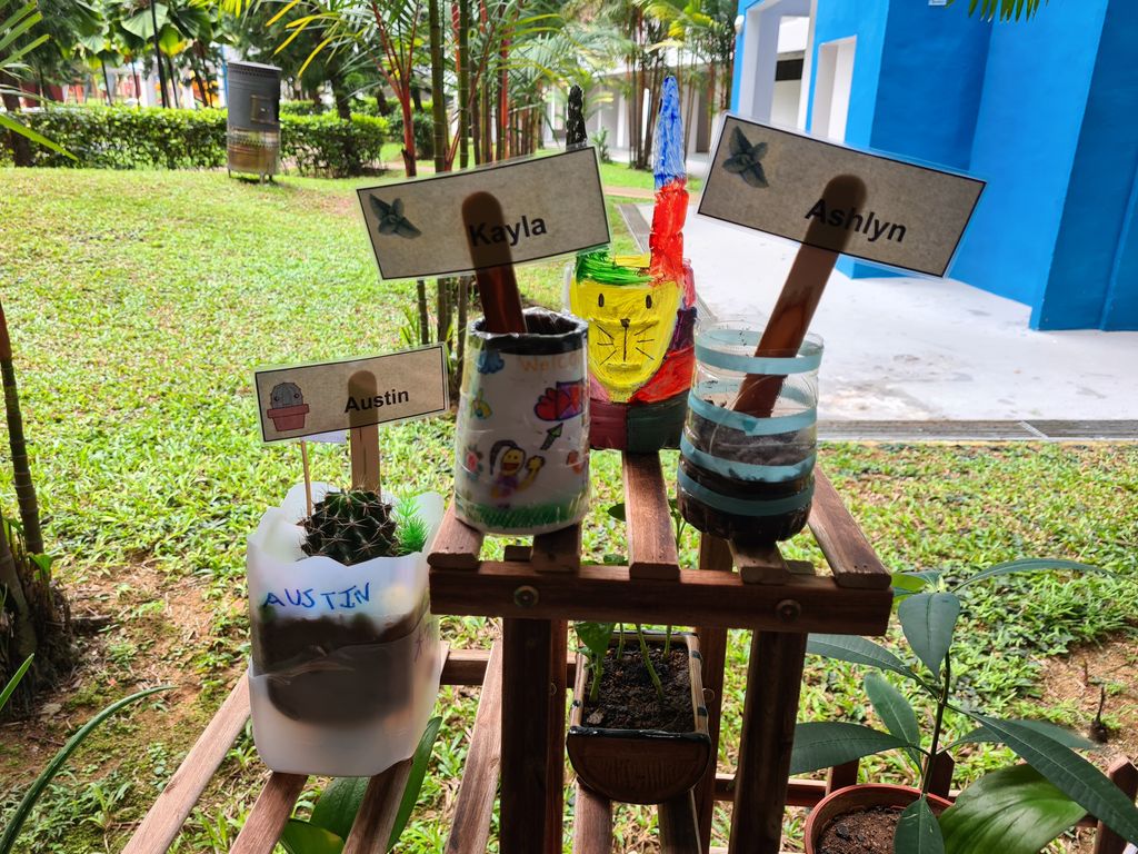 Creating a garden with flowerpots made from recyclables — photo 4