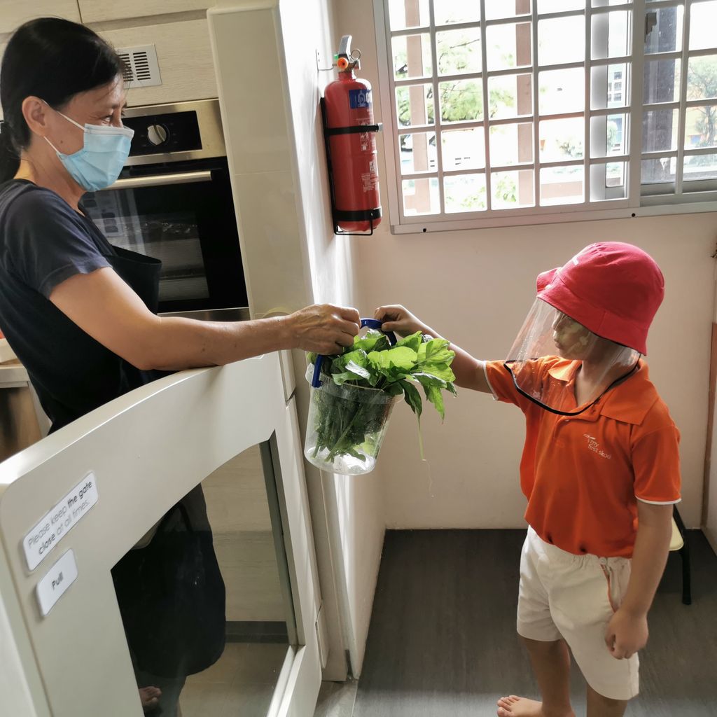 Intergenerational project: Let's build a garden Pt 2