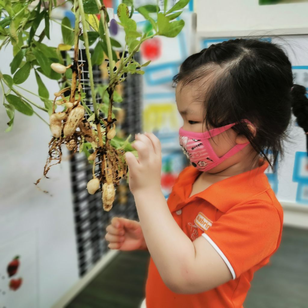 Intergenerational project: Let's build a garden Pt 2 — photo 2