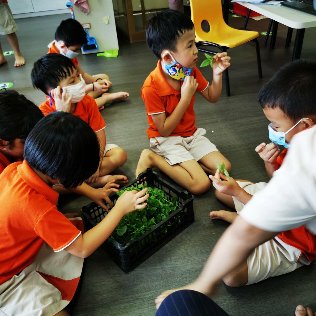 Intergenerational project: Let's build a garden Pt 2 — photo 3
