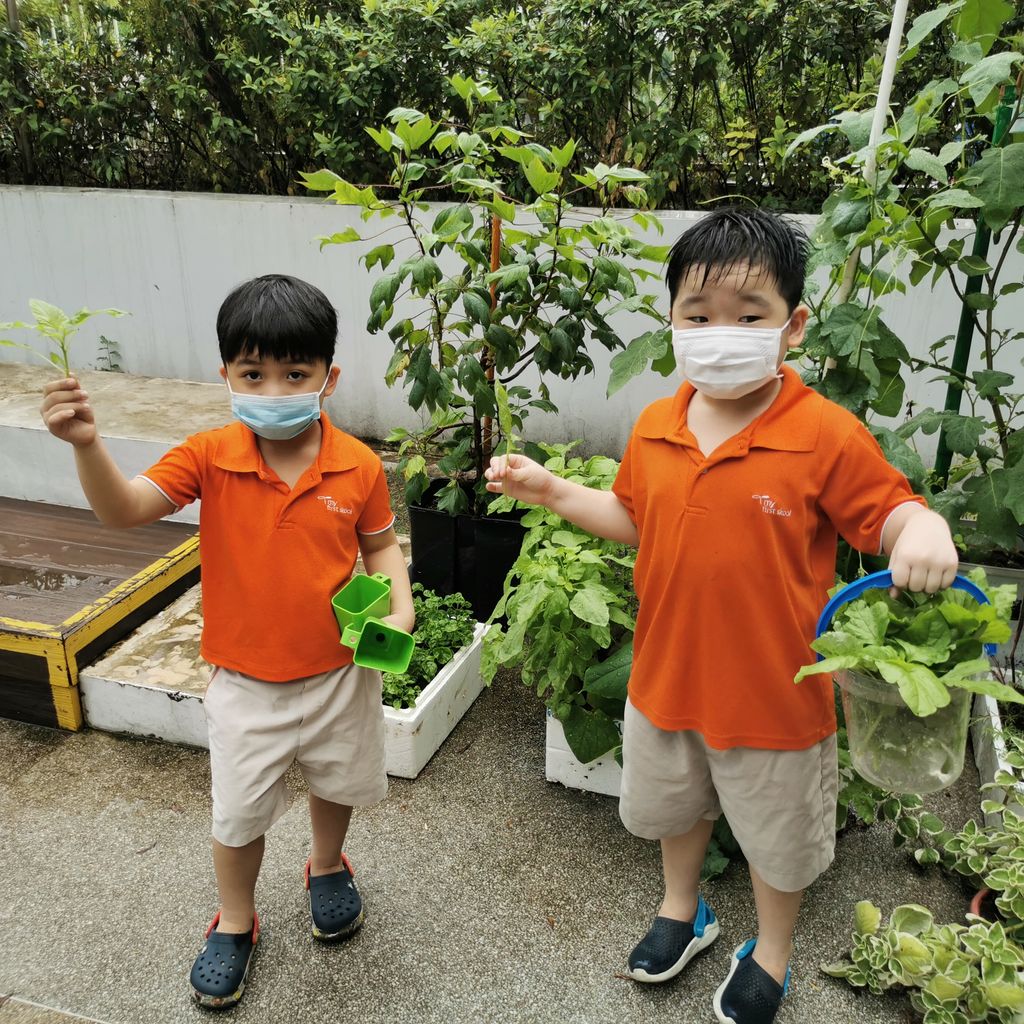 Intergenerational project: Let's build a garden Pt 2 — photo 6