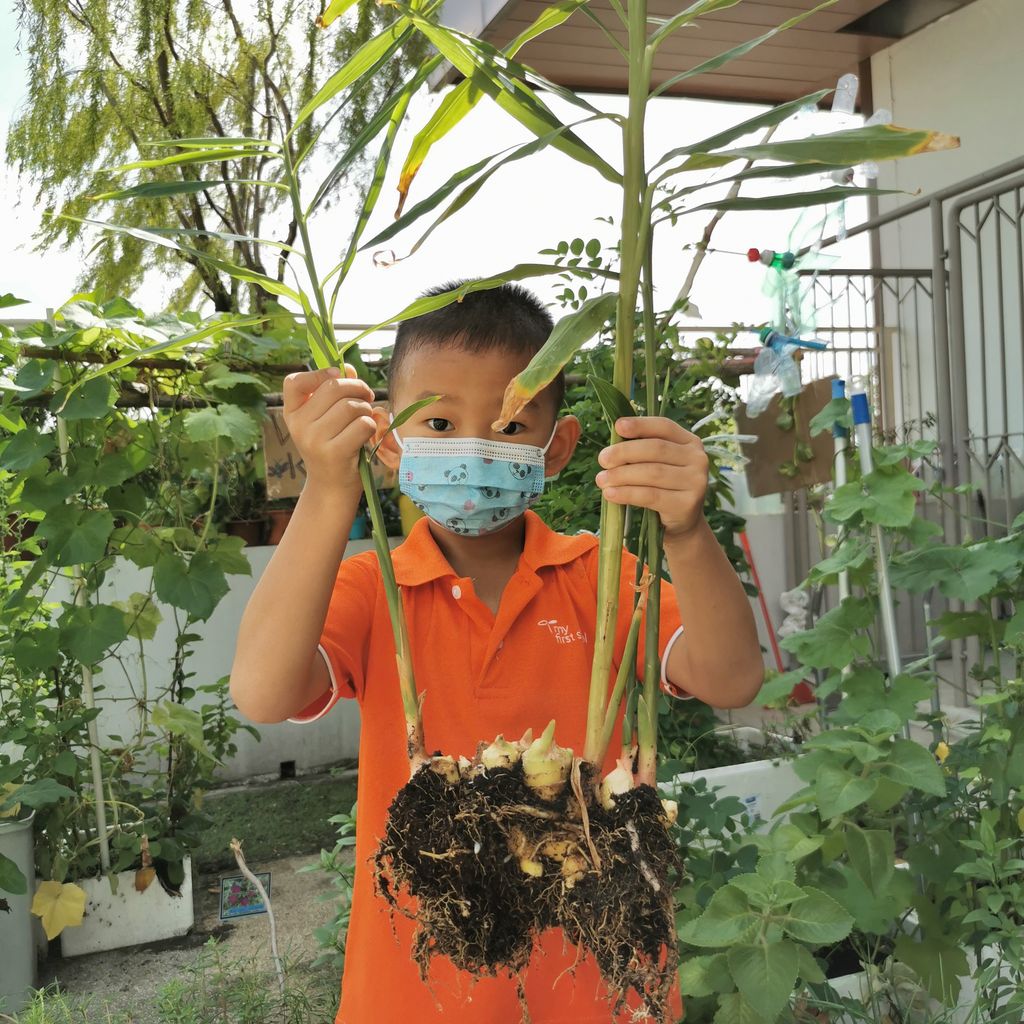 Intergenerational project: Let's build a garden Pt 2 — photo 8