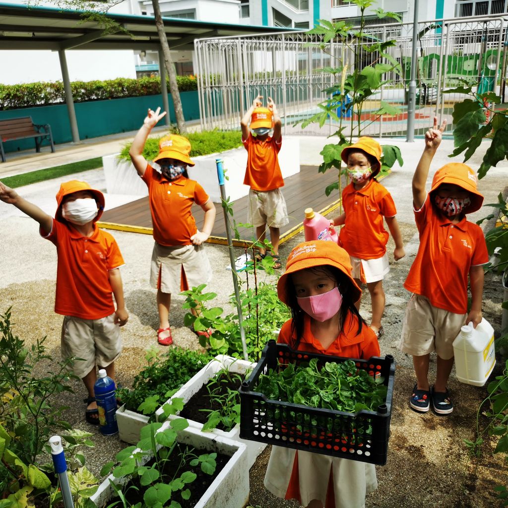 Intergenerational project: Let's build a garden Pt 2 — photo 9