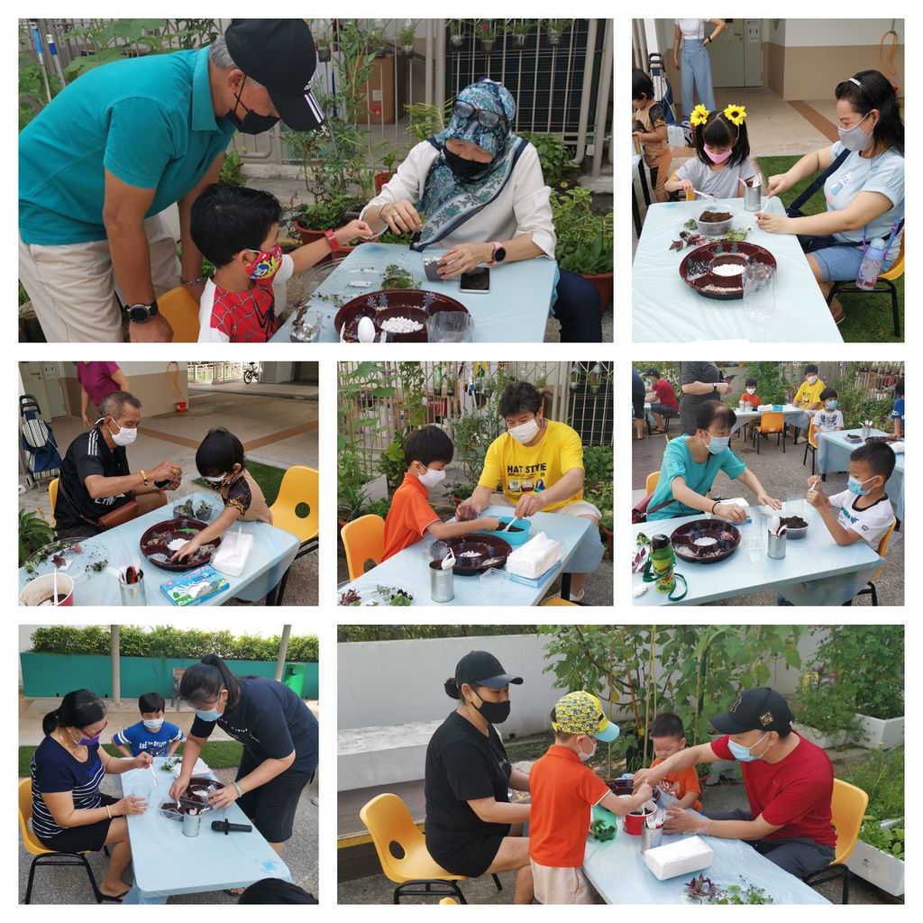 Intergenerational project: Let's build a garden Pt 2 — photo 2