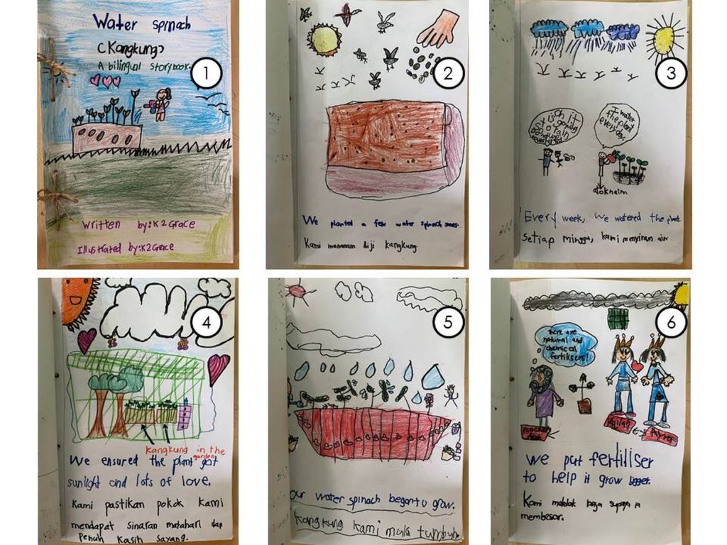 Week 12: ‘Nature and Me!’ – Closure to SSDB 2020 Project