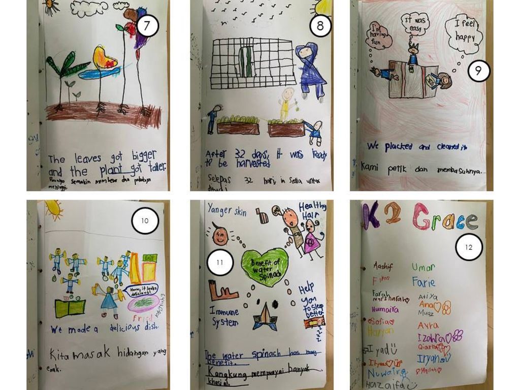 Week 12: ‘Nature and Me!’ – Closure to SSDB 2020 Project — photo 2