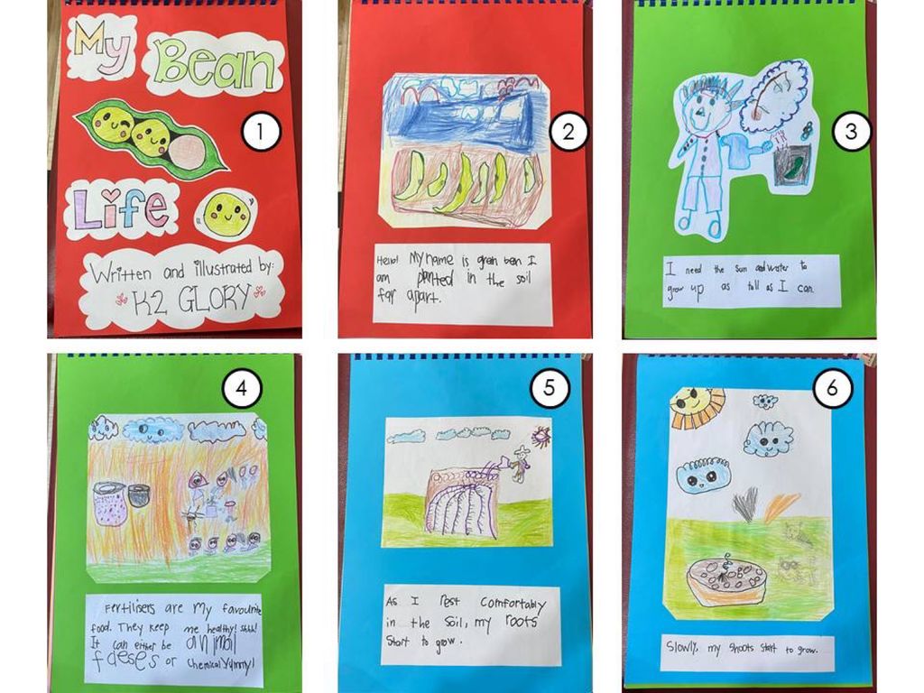 Week 12: ‘Nature and Me!’ – Closure to SSDB 2020 Project — photo 3