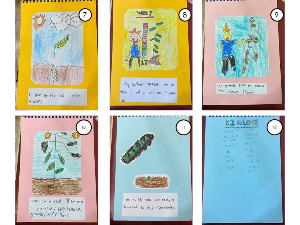 Week 12: ‘Nature and Me!’ – Closure to SSDB 2020 Project — photo 4