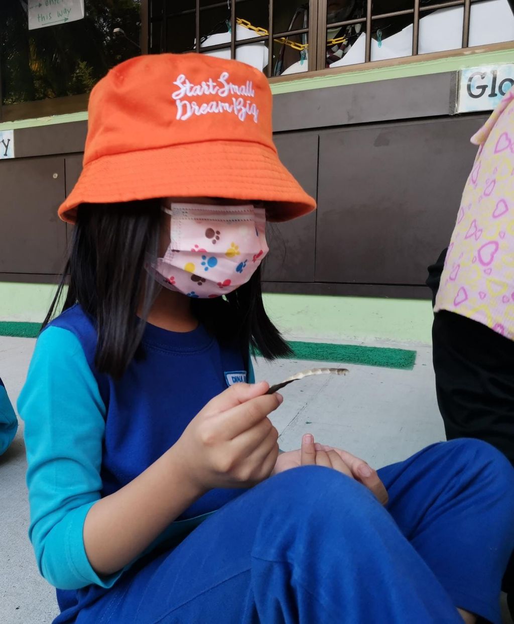 Week 12: ‘Nature and Me!’ – Closure to SSDB 2020 Project — photo 3